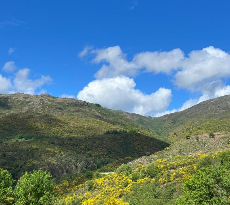 Photo of Others in Arcos de Valdevez