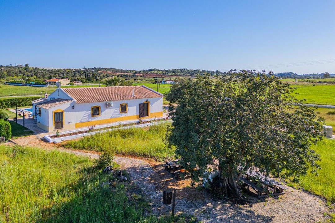 Photo of Others in Silves