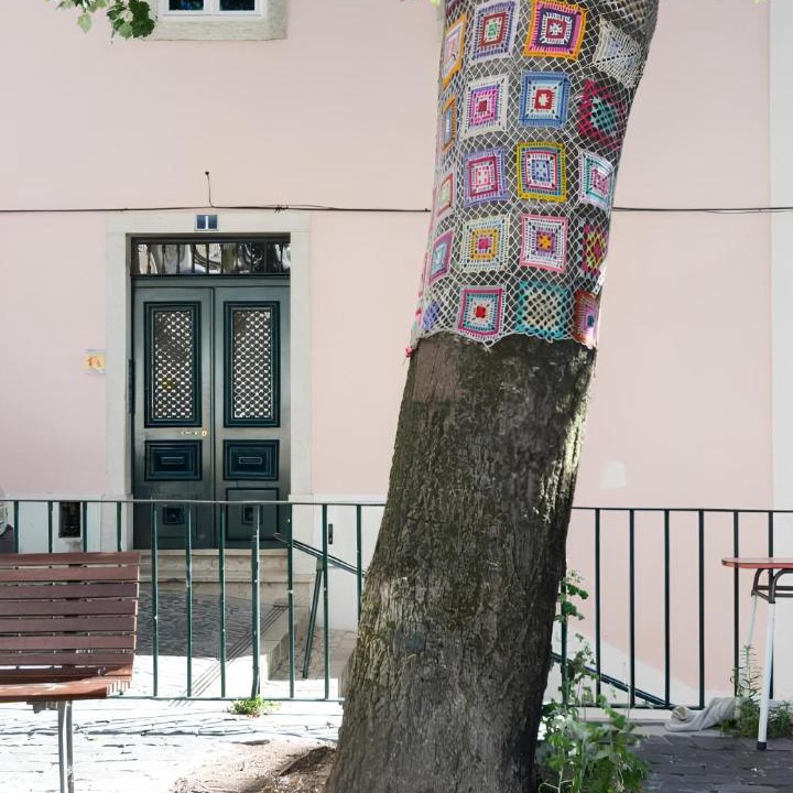 Photo of Others in Sao Cristovao e Sao Lourenco