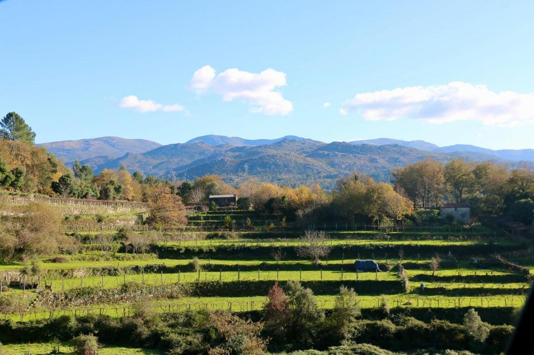 Photo of Others in Soajo