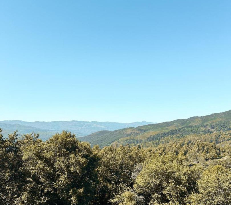 Photo of Others in Arcos de Valdevez
