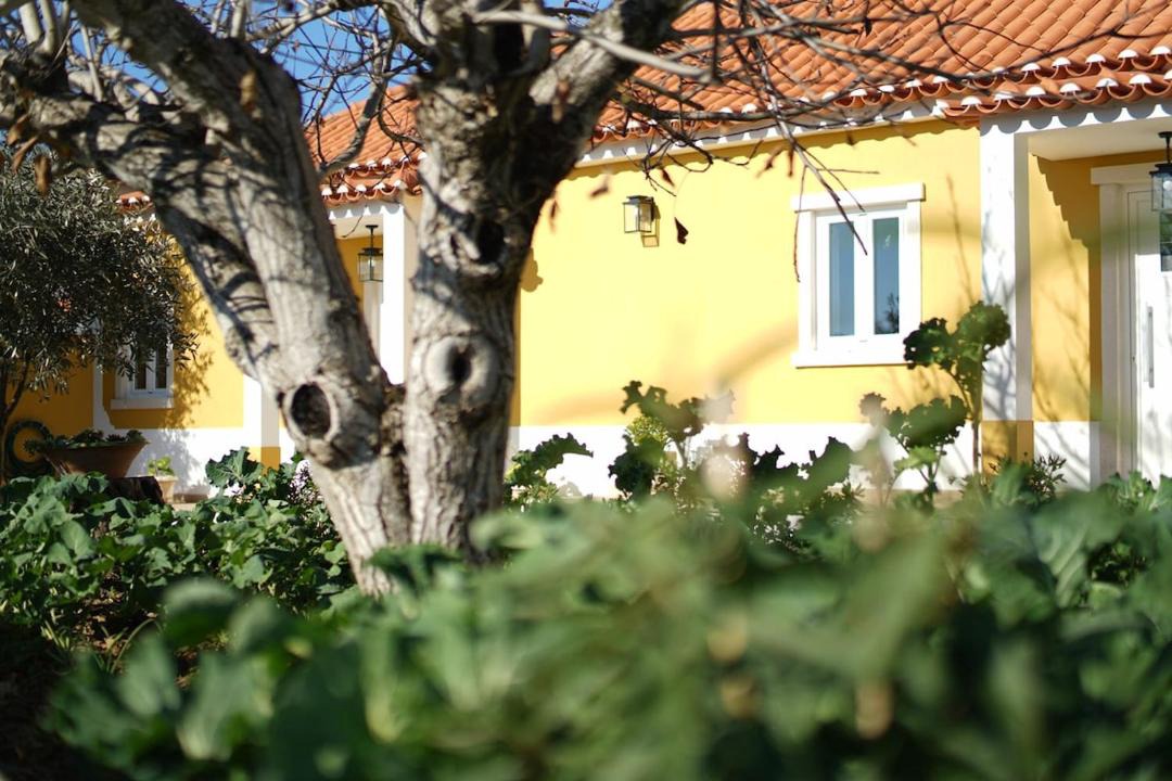 Photo of Others in Alcobertas