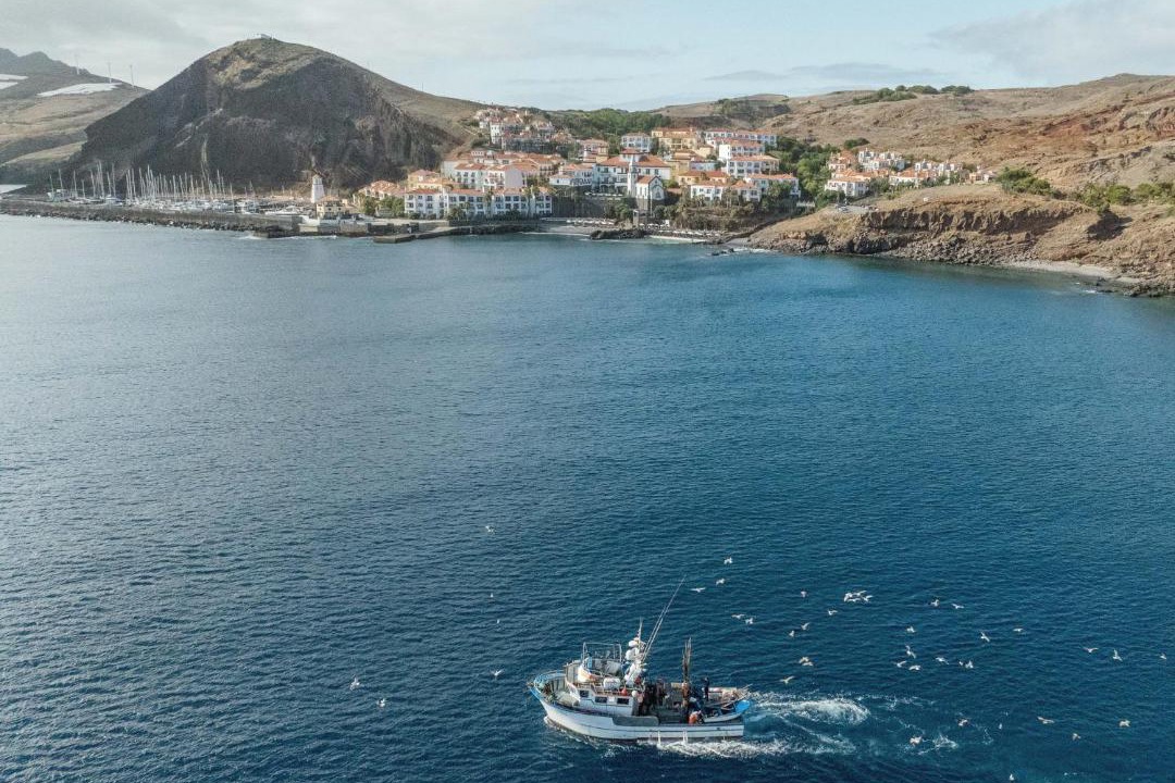Photo of Others in Machico