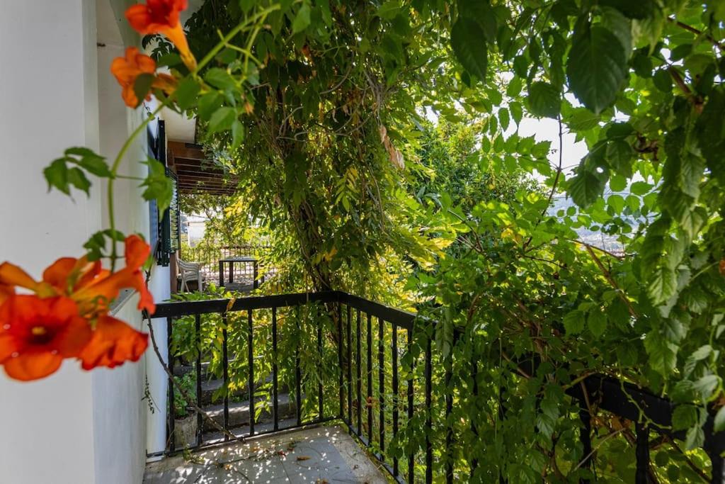 Photo of Patio Balcony in Peso da Regua