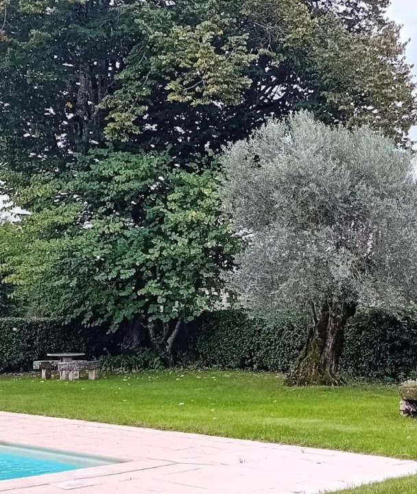 Photo of Outdoor in Ourem