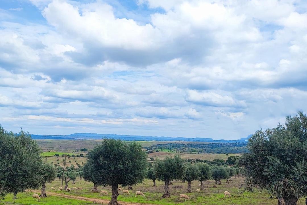 Photo of Others in Castelo de Vide