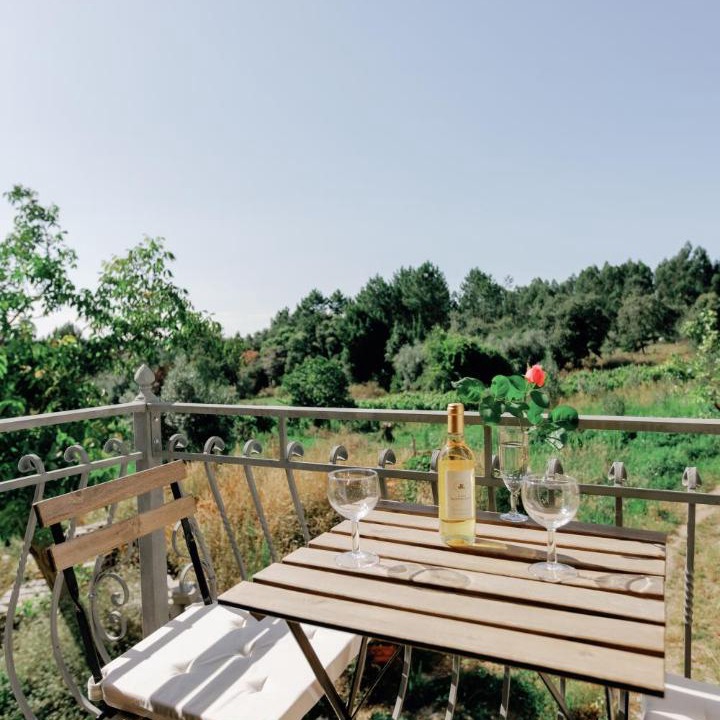 Photo of Others in Figueiro dos Vinhos