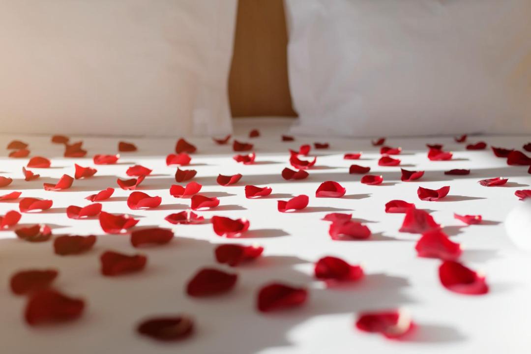 Photo of Bedroom in Pragal