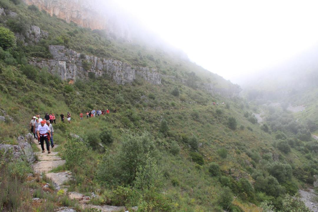 Photo of Others in Camparca