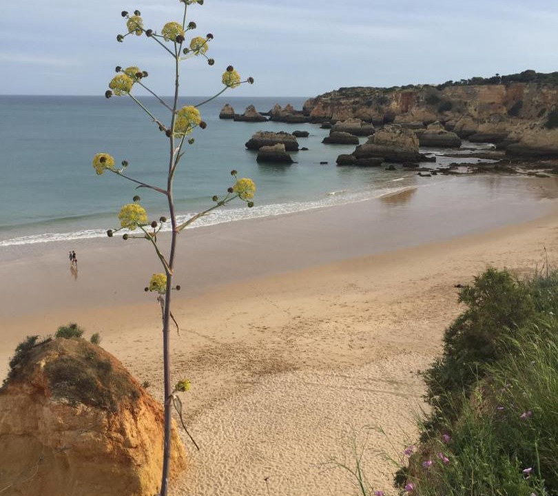 Photo of Others in Portimao