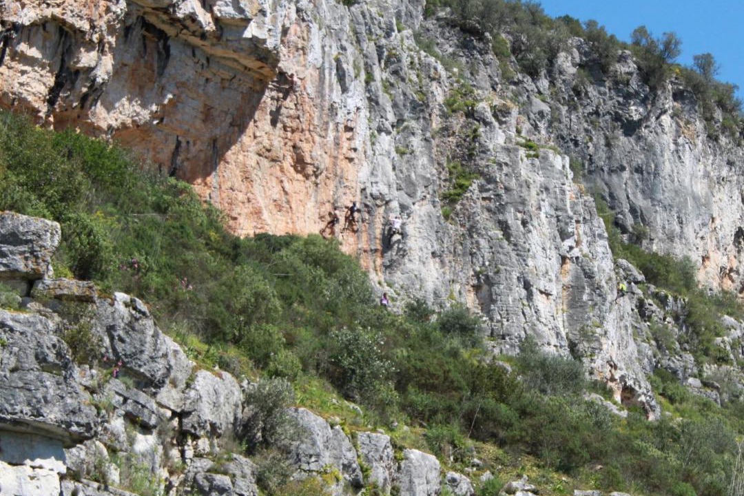 Photo of Others in Camparca