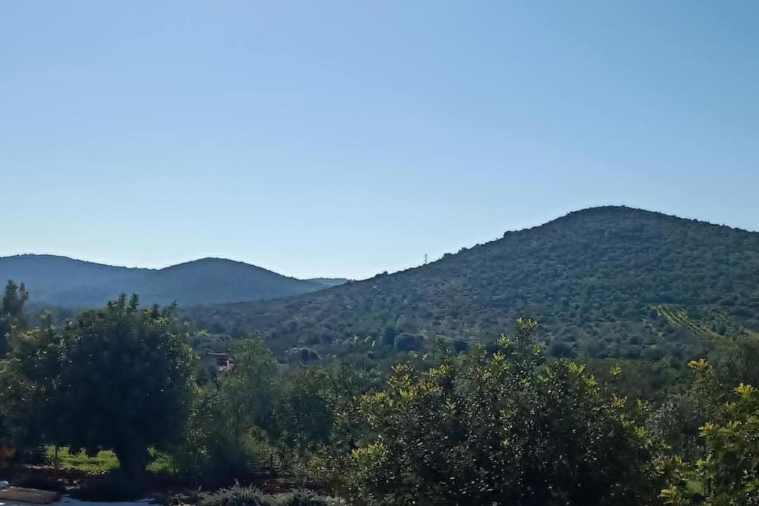 Photo of Others in Loule
