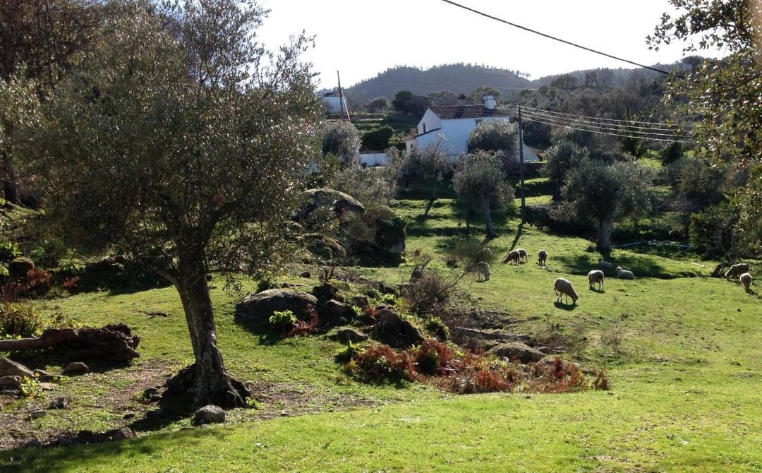 Photo of Others in Santa Maria de Marvao