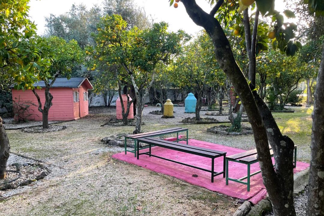 Photo of Others in Paialvo