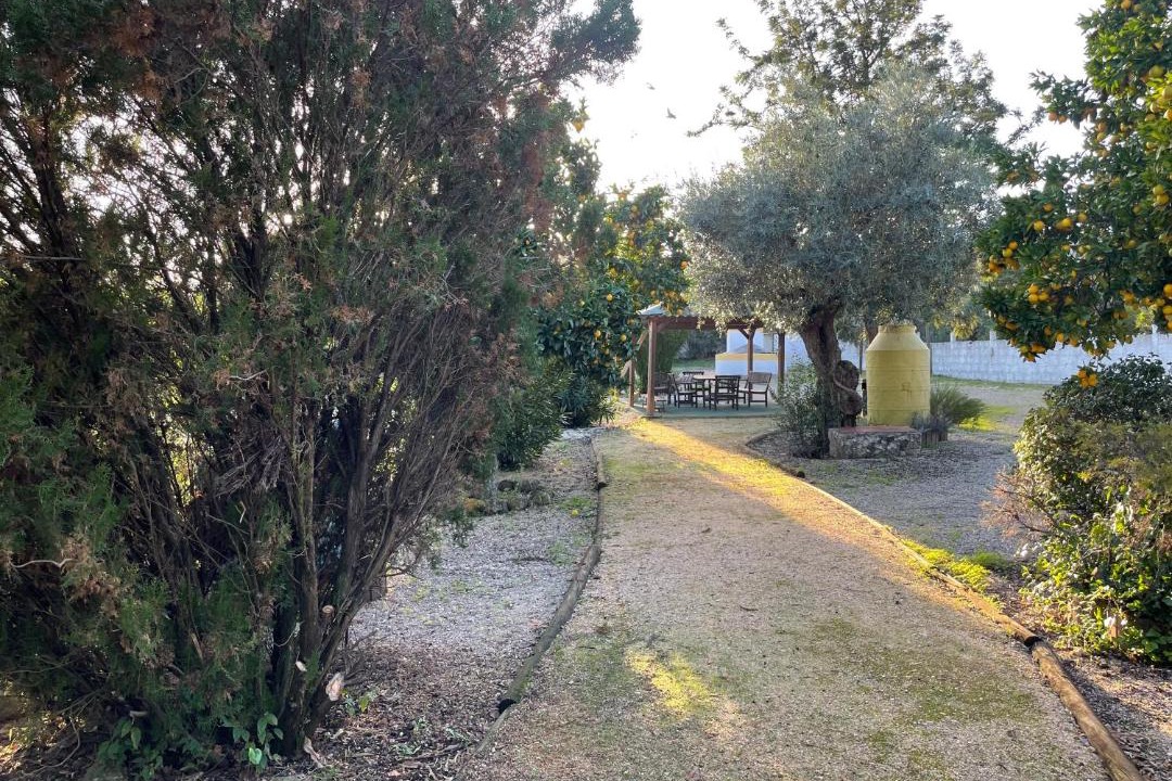 Photo of Outdoor in Paialvo