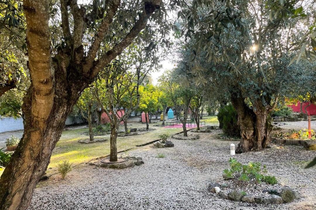 Photo of Outdoor in Paialvo