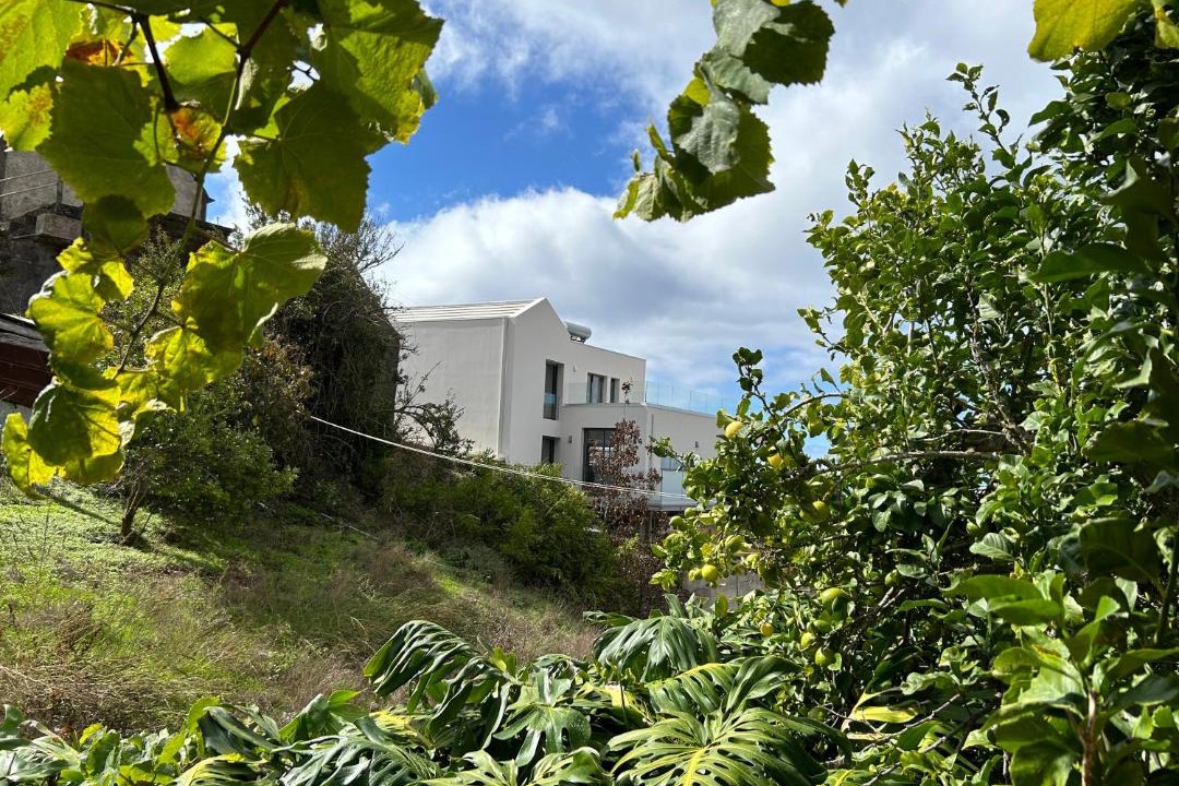 Photo of Others in Calheta