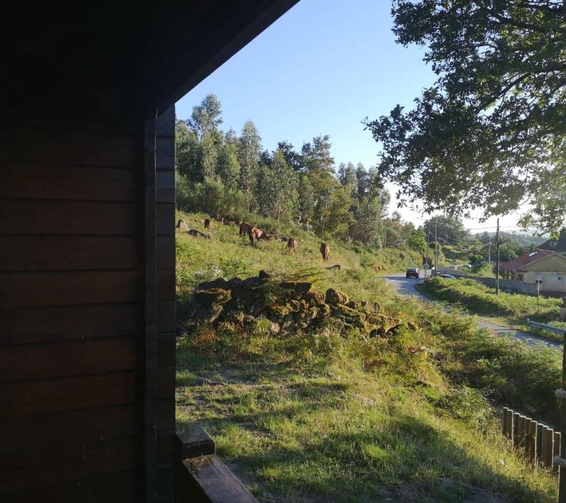 Photo of Others in Arcos de Valdevez