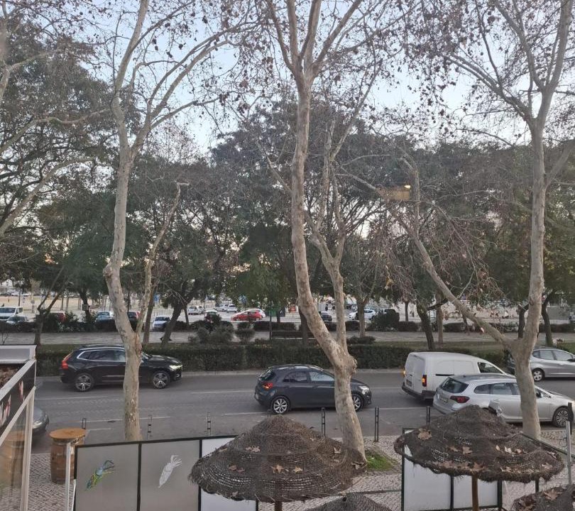 Photo of Others in Setubal