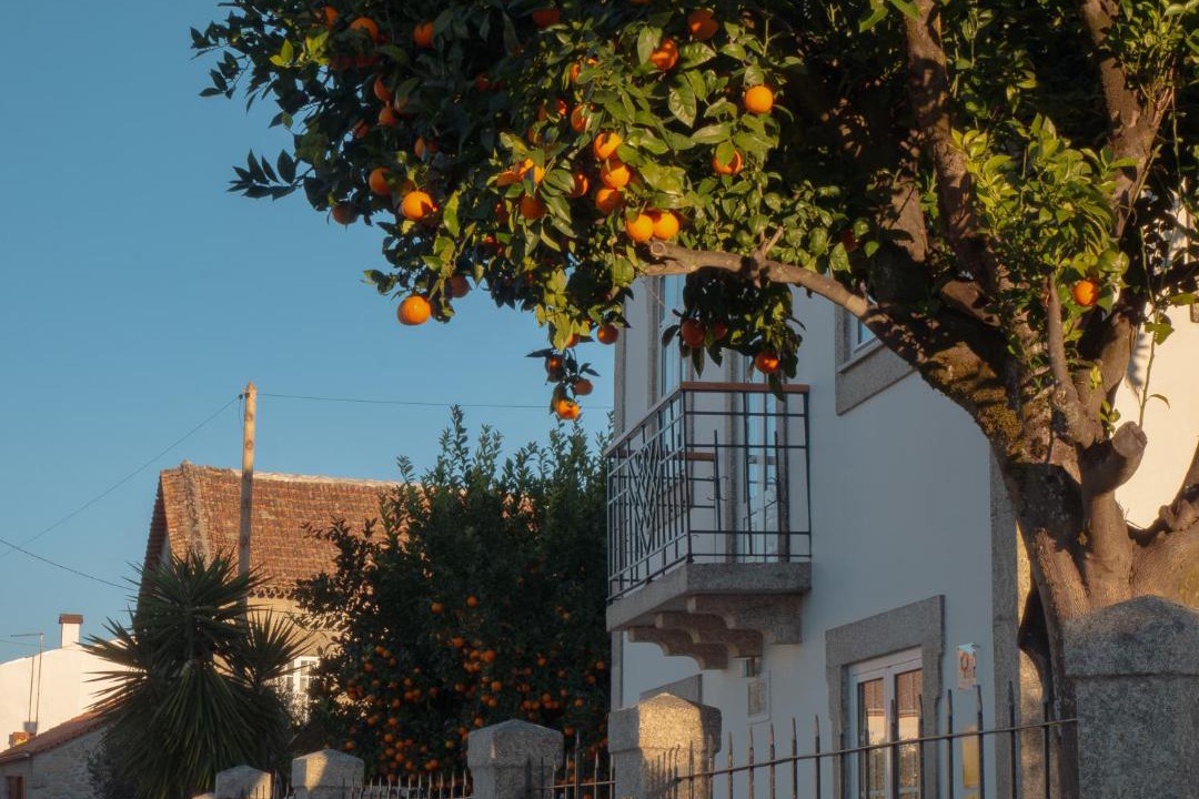Photo of Others in Travancinha