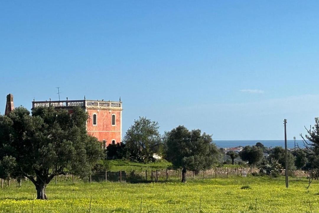 Photo of Others in Vila Nova De Cacela