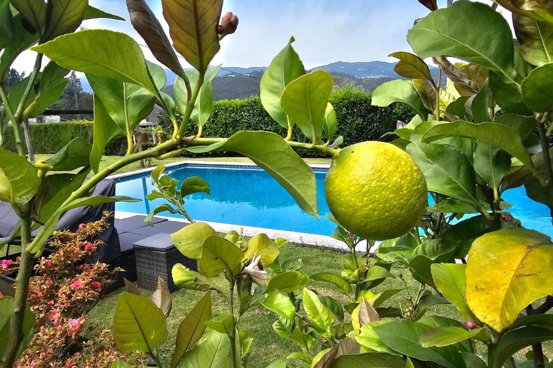 Photo of Others in Oliveira de Frades