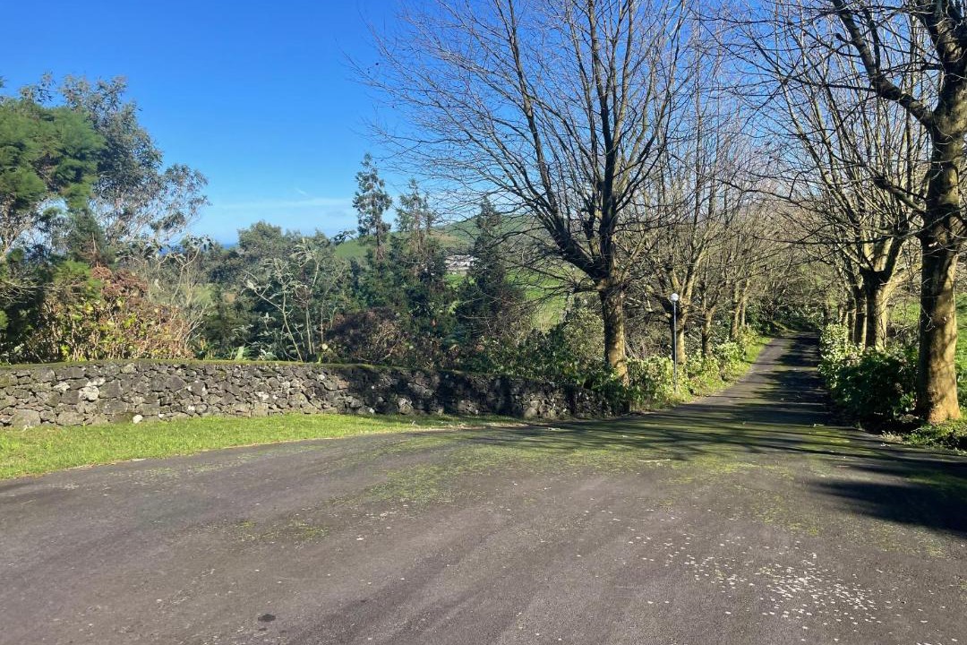 Photo of Outdoor in Ribeira Grande