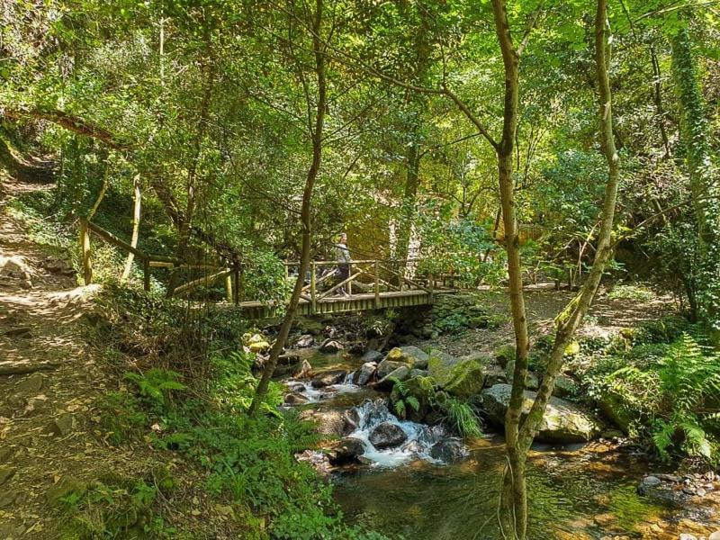 Photo of Others in Figueiro dos Vinhos