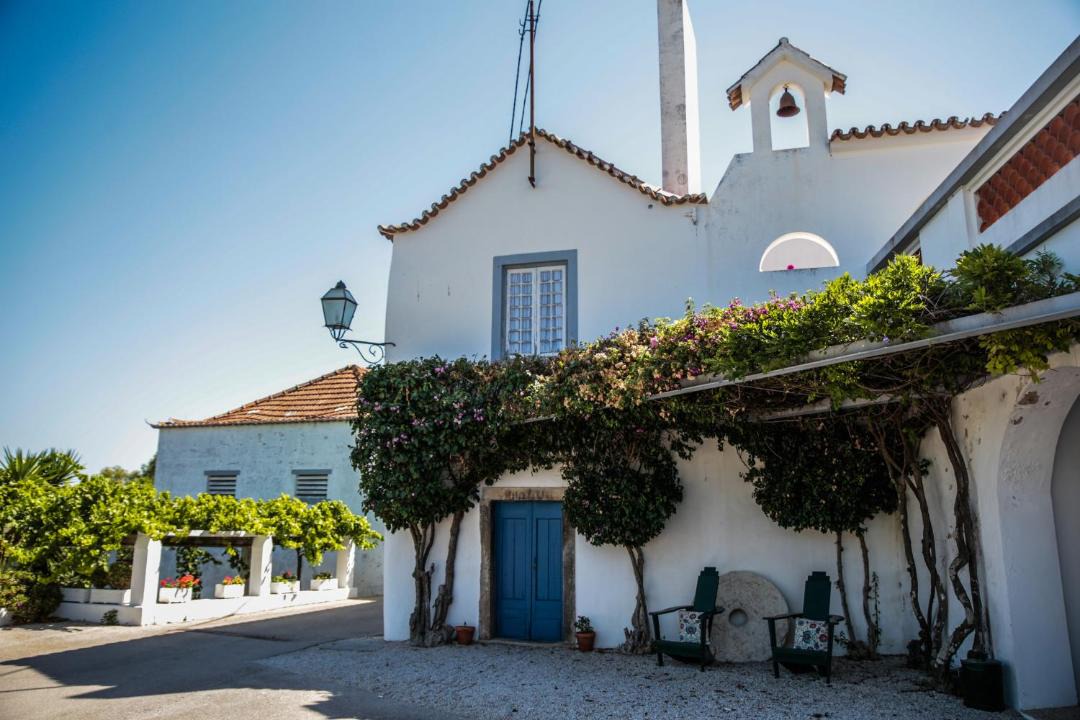Photo of Others in Setubal