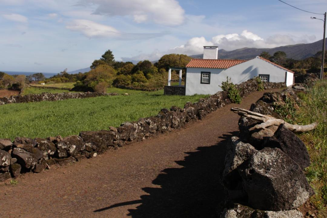 Photo of Others in Sao Roque do Pico