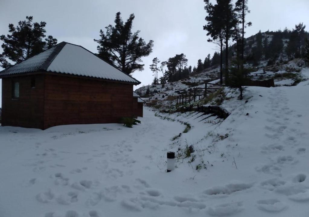 Photo of Others in Monte