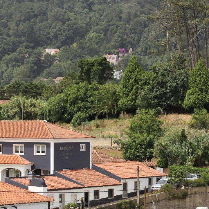 Photo of Others in Sintra