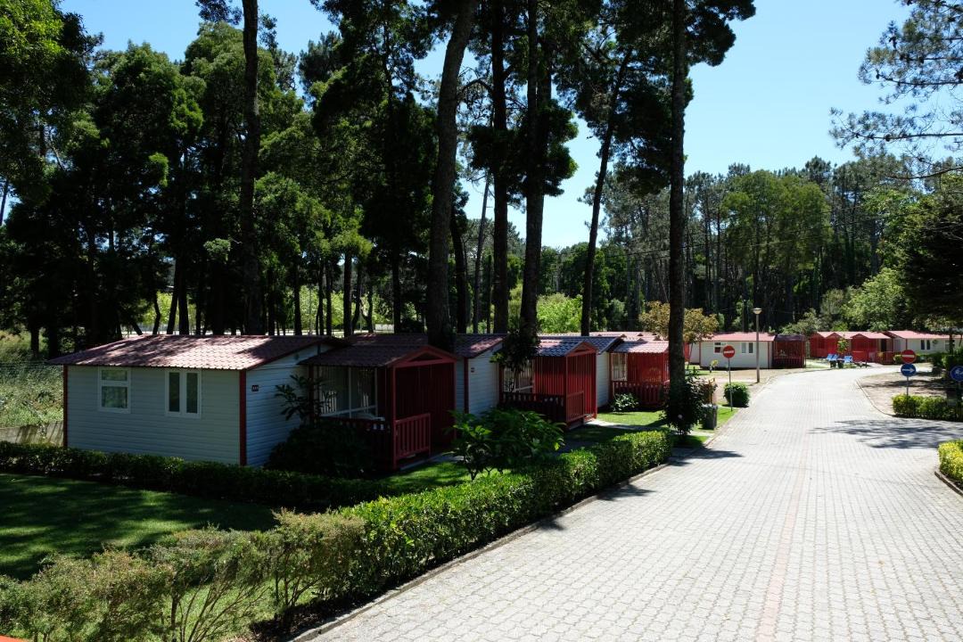 Photo of Others in Vilarelho