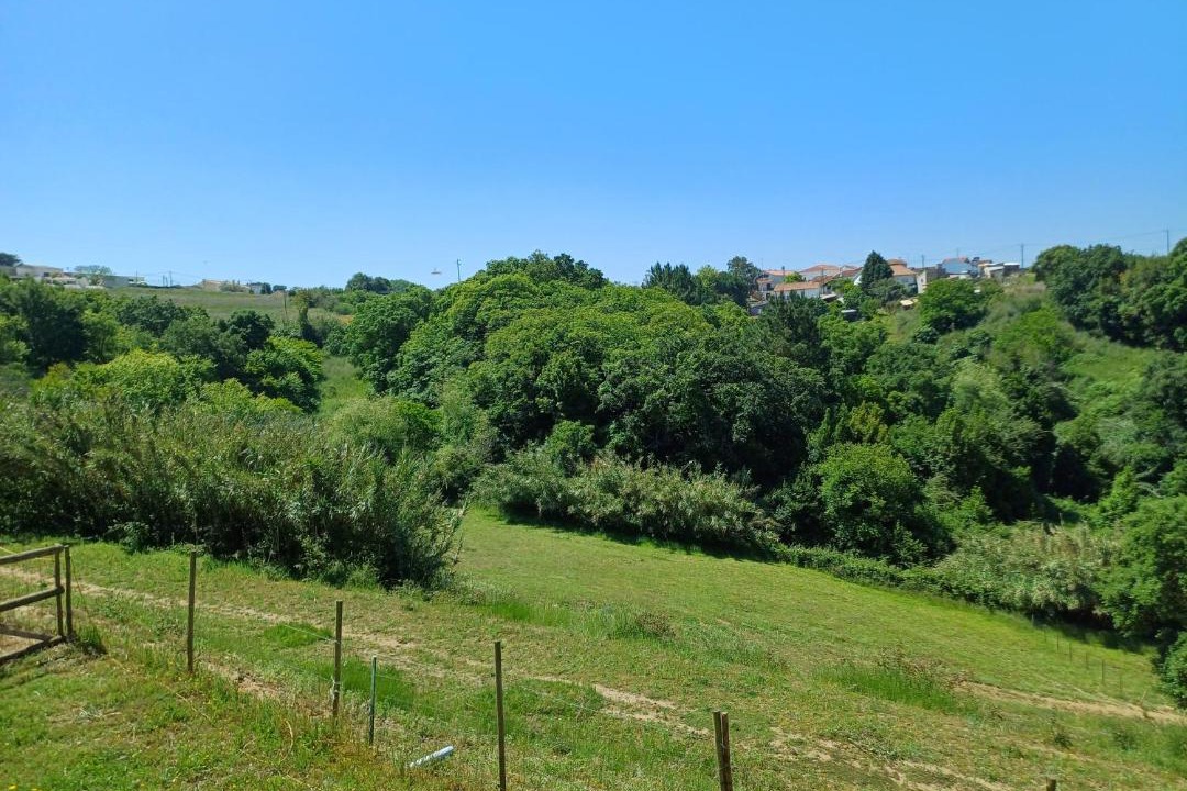 Photo of Others in Evora de Alcobaca