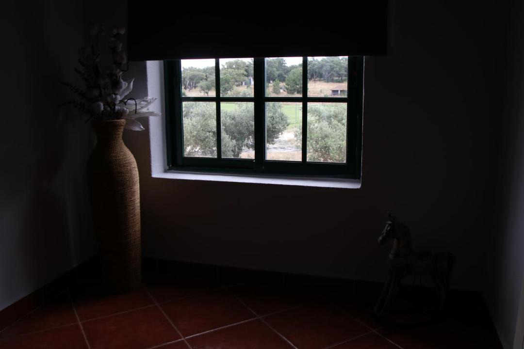 Photo of Others in Palmela