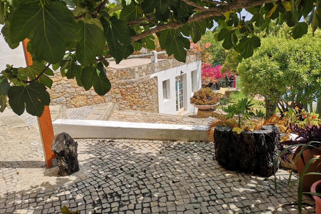 Photo of Others in Vale de Seixos