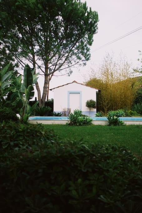 Photo of Others in Pedreiras