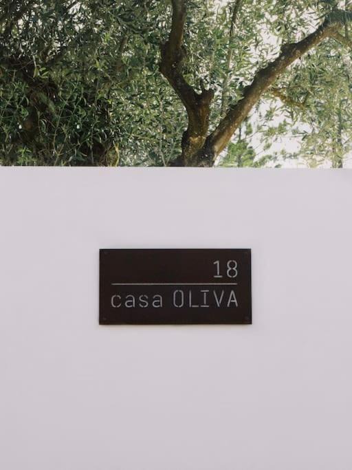 Photo of Others in Pedreiras