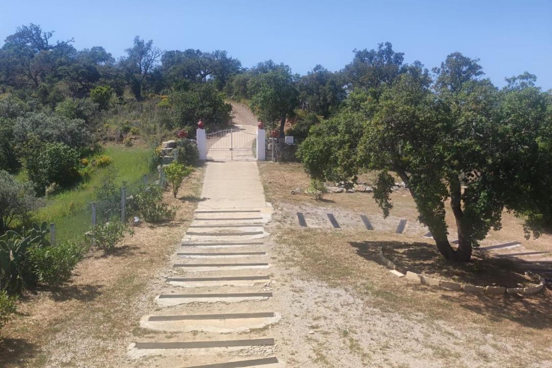 Photo of Others in Fonte do Bispo