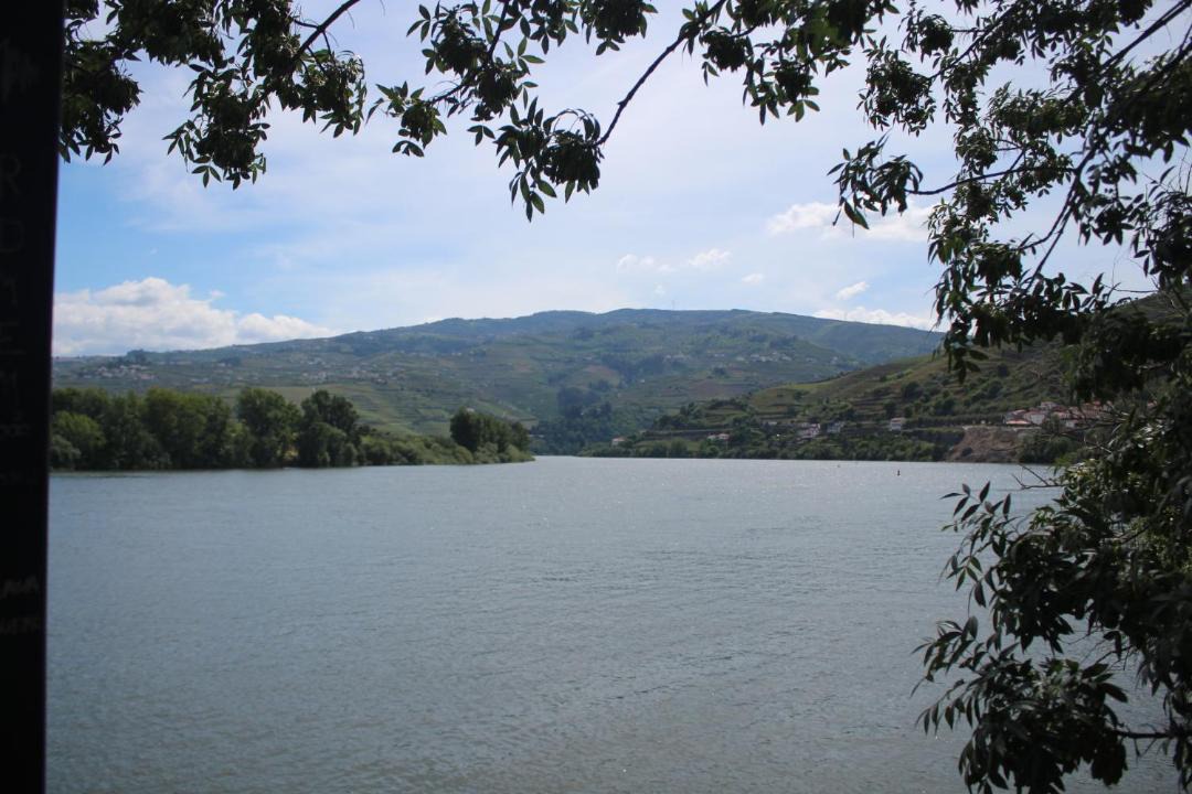 Photo of Others in Peso da Regua