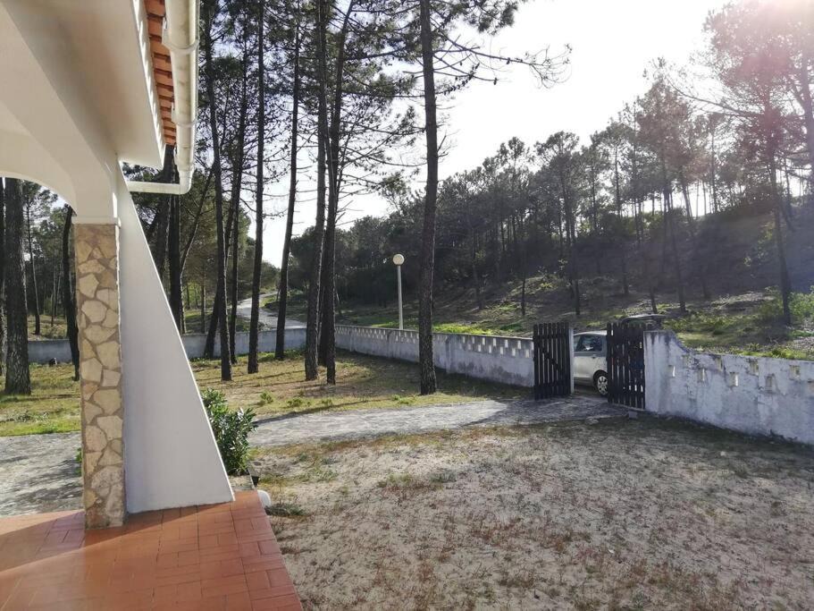 Photo of Others in Obidos