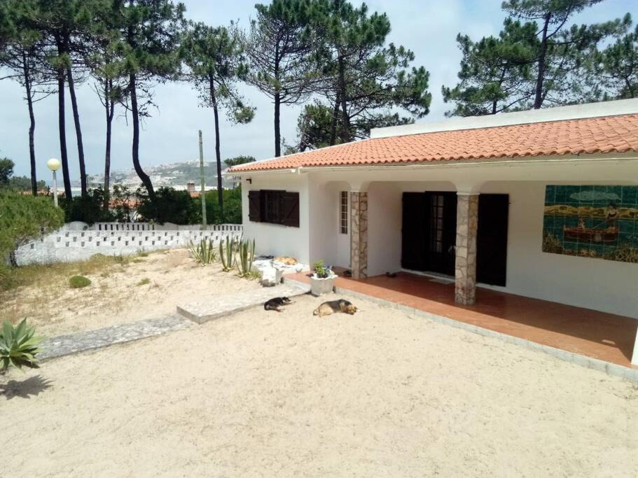 Photo of Others in Obidos