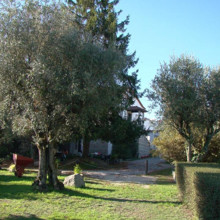 Photo of Others in Currelos