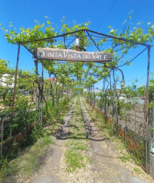 Photo of Others in Oliveira de Frades