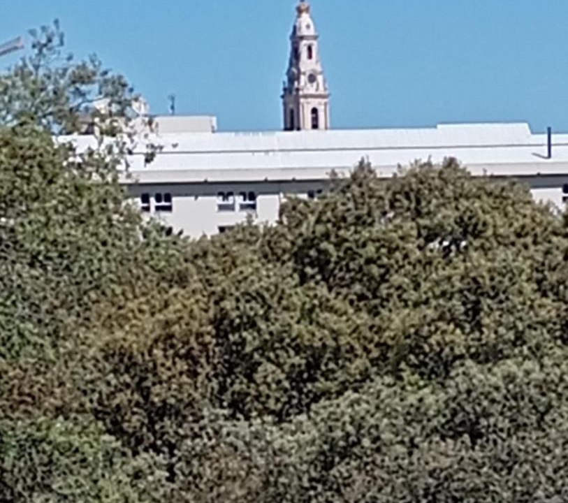 Photo of Others in Fatima