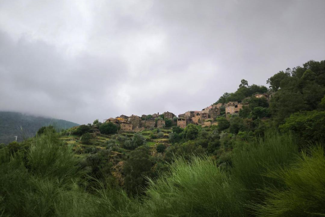 Photo of Others in Lousa