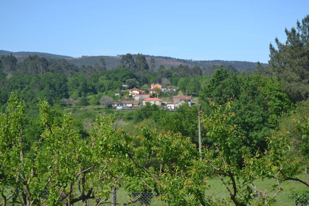 Photo of Others in Casco