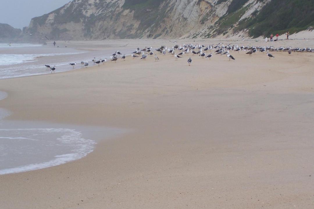 Photo of Others in Mina do Azeiche