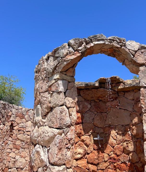 Photo of Others in Silves