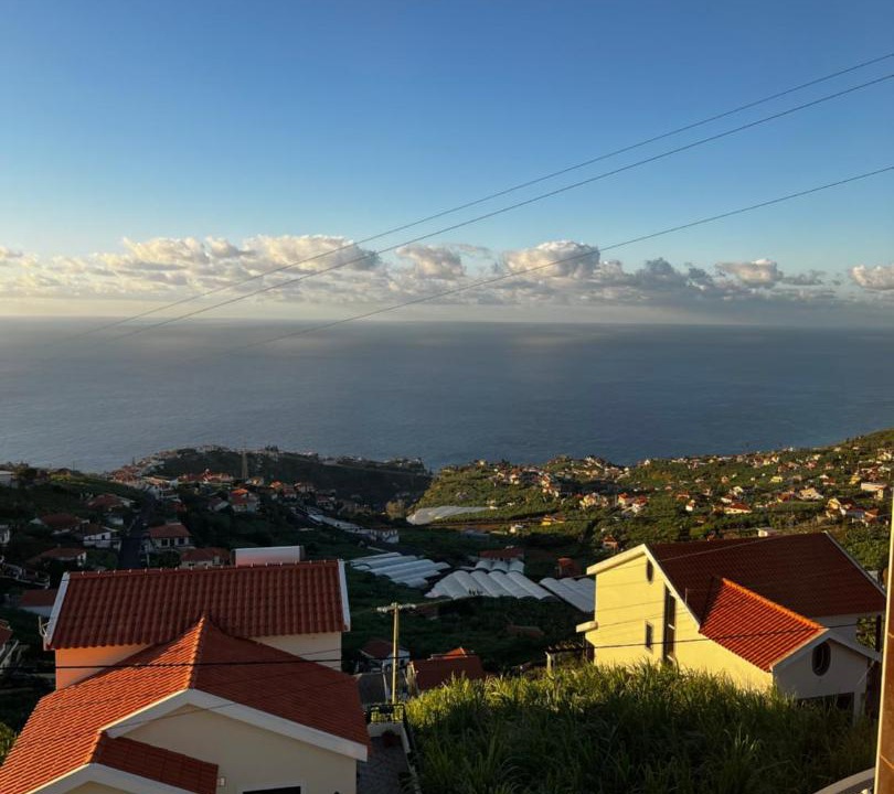 Photo of Others in Canhas